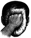 Avatar de l’utilisateur