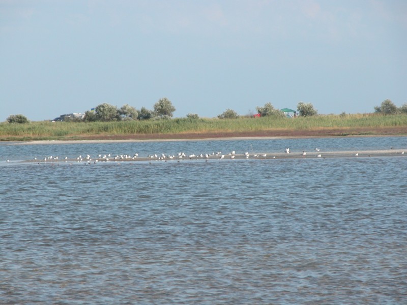 DSCN0094.JPG
