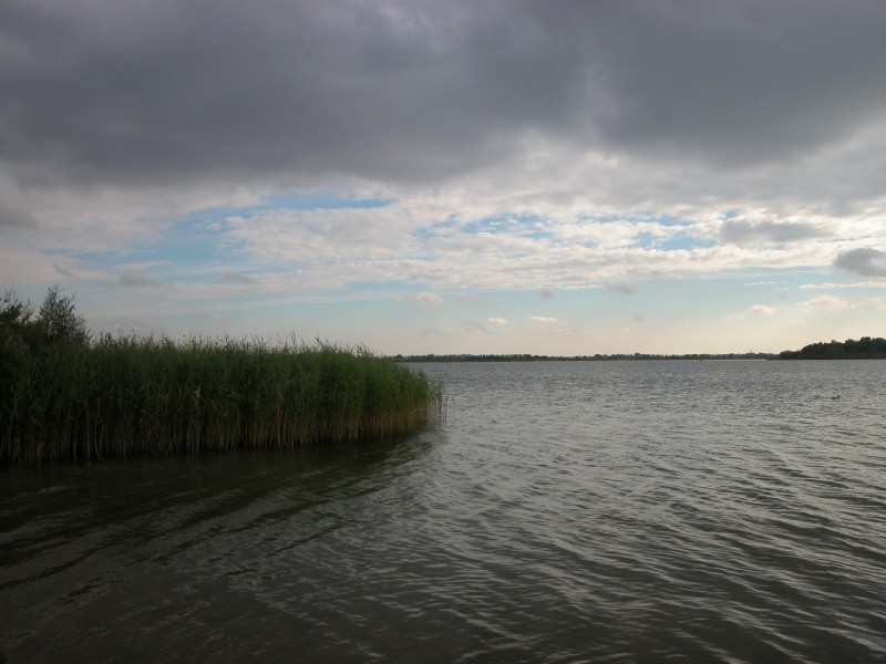 DSCN9800.JPG