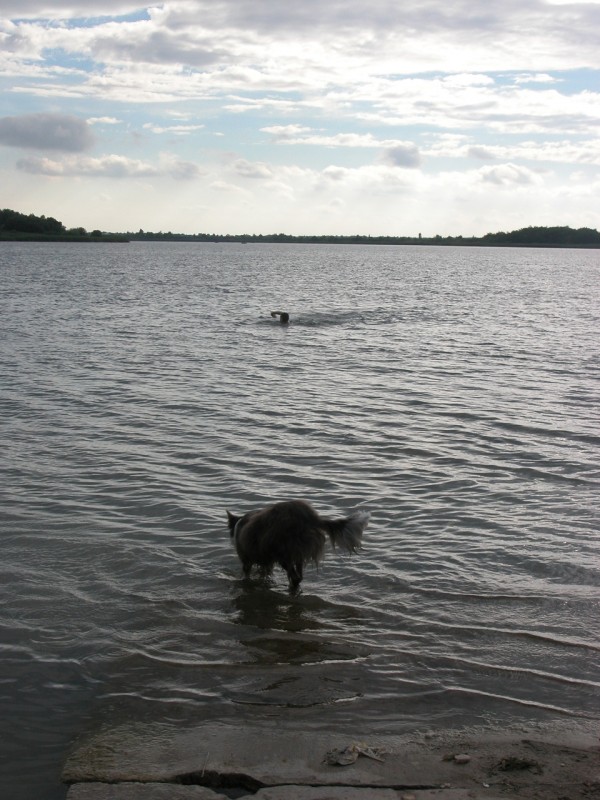 DSCN9805.JPG
