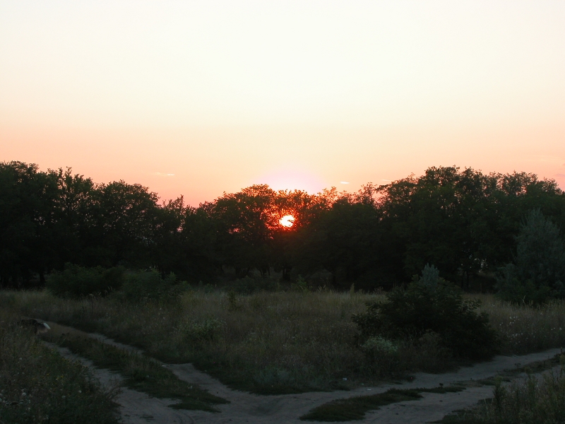 DSCN0787.JPG
