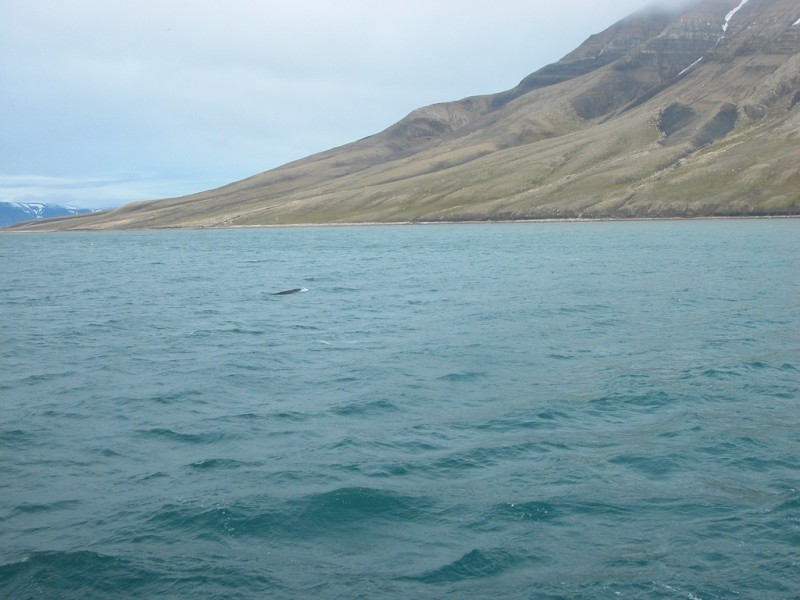 DSCN6041 (mini).JPG